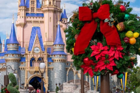 Christmas at Disney World During Covid-19 5